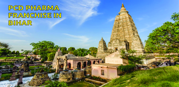 Top pharma franchise Company In Bihar
